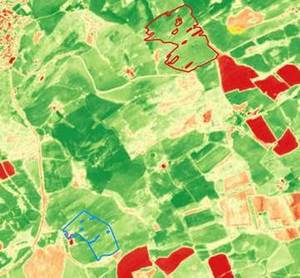 Image: NDVI image calculated from Sentinel-2 imagery for a Scottish Lowlands region. Green indicates healthier vegetation