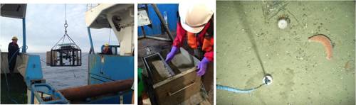 Drop-camera deployment on the MRV Scotia; box core sample processing; drop-camera seabed image from within Geikie Slide and the Hebridean Slope NCMPA. Left and middle images © JNCC 2016, right hand image © JNCC/MSS 2016