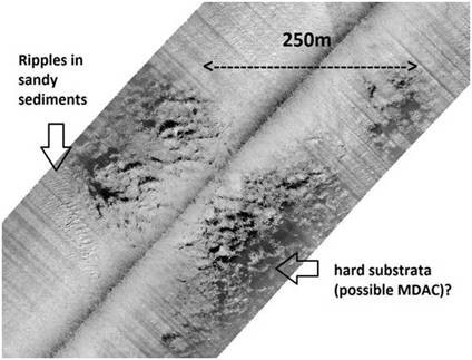 Rendered side-scan image