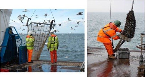 Two photographs aligned horizontally.