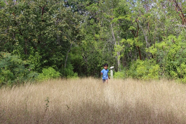 Child plays in Cayman forest. Credit: Cayman DoE.