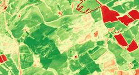 A Normalised Difference Vegetation Index image calculated from Sentinel-2 imagery of an area in the Scottish lowlands. Most of the image shows green patches, which indicate healthy vegetation. Some yellow, orange and red patches are also shown.