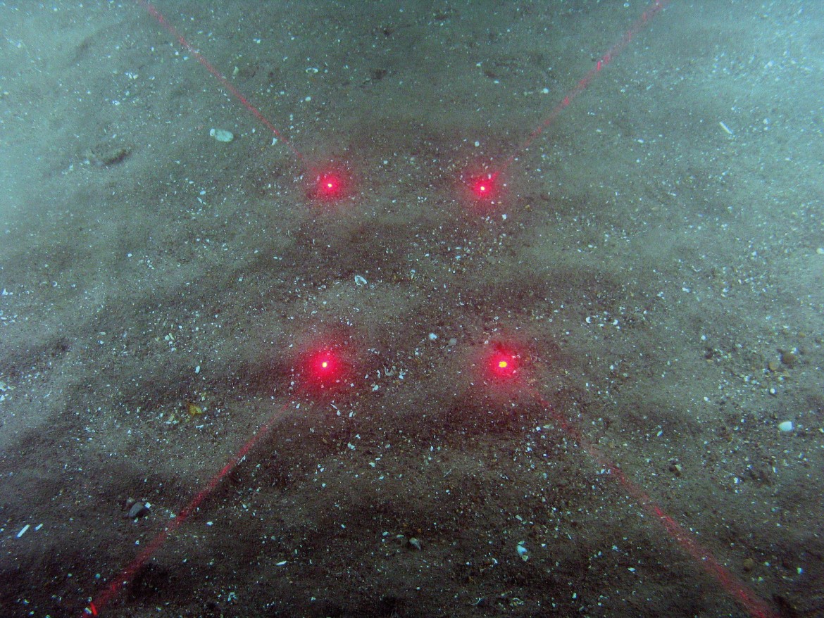 Close-up of the seabed at Markham's Triangle MCZ, showing rippled sand with shell fragments