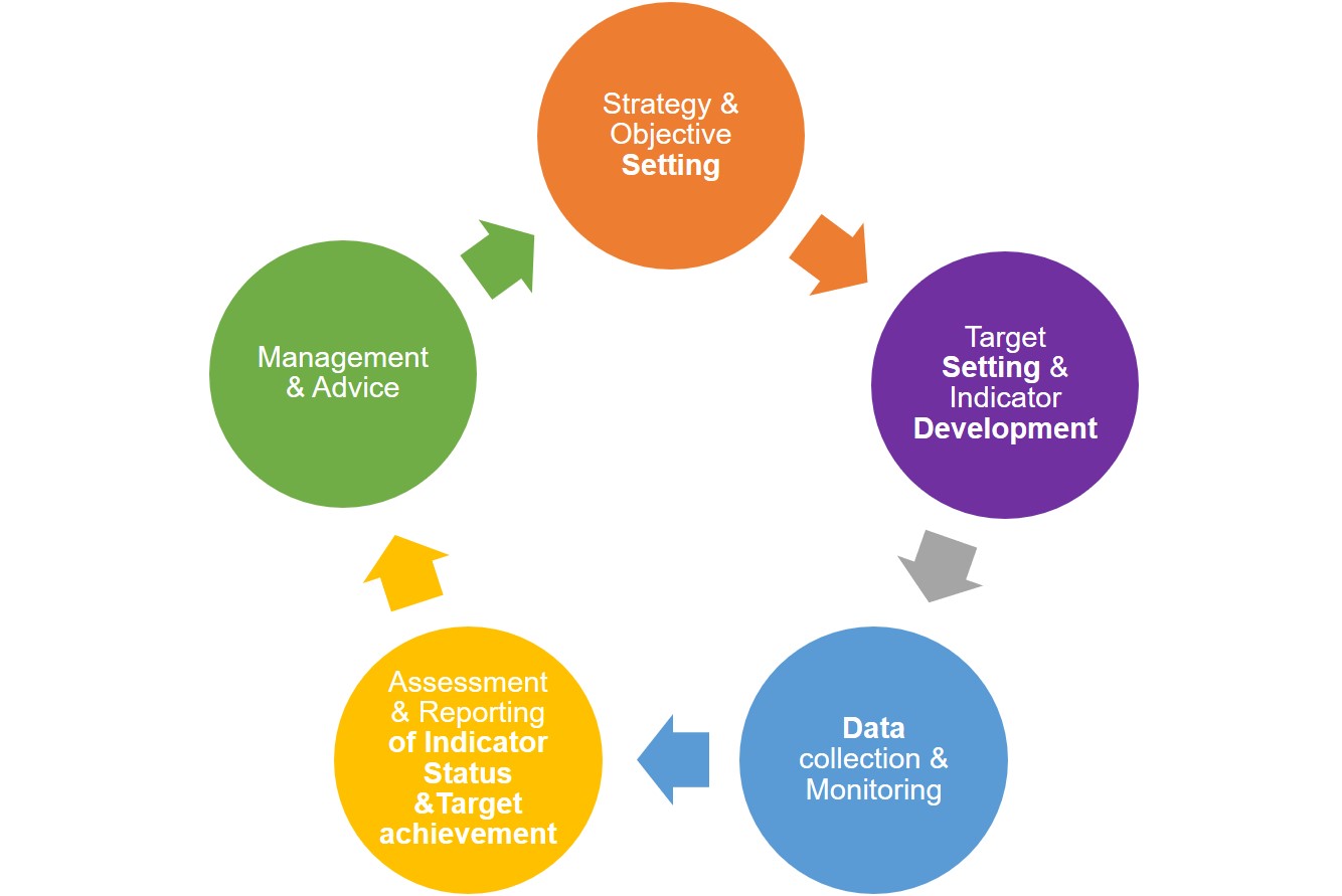 management cycle_v4.jpg