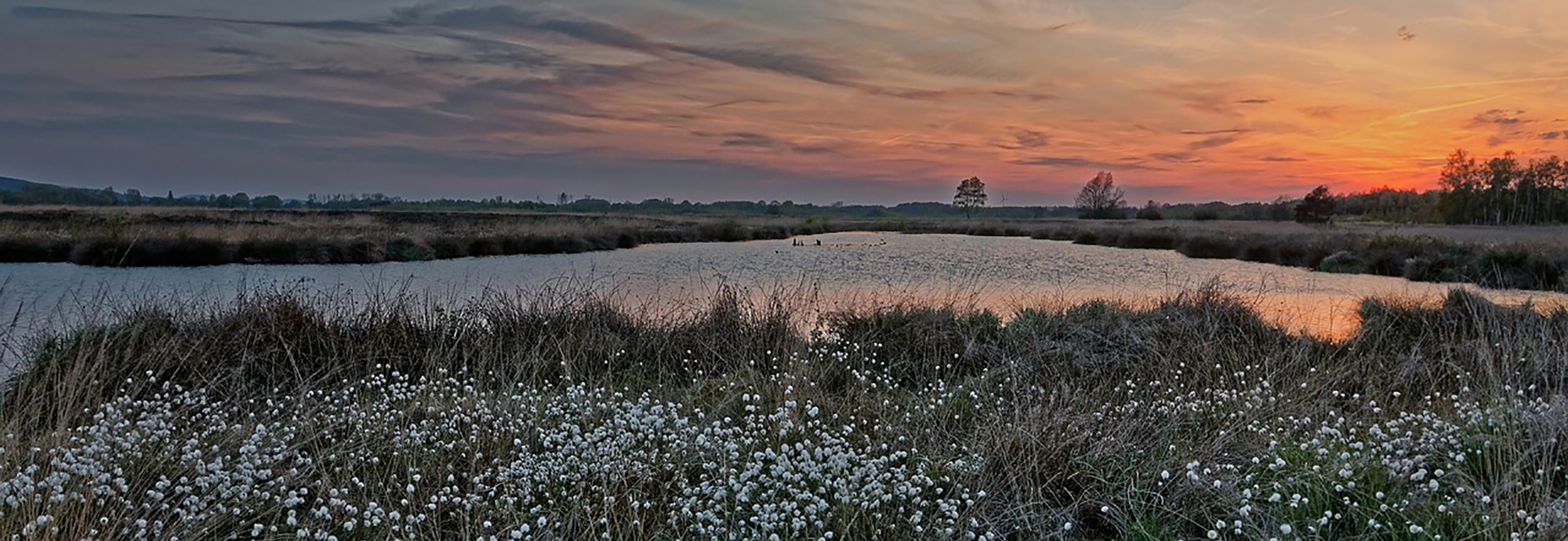Assessing changes in peatland condition: new report published