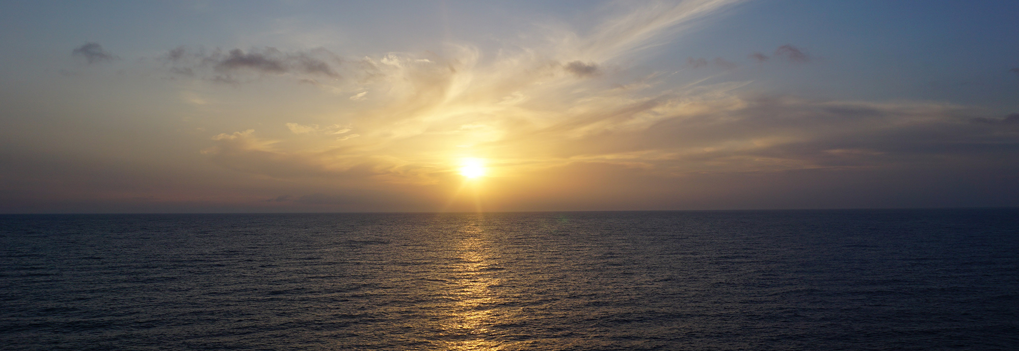 JNCC welcomes Gemma Harper as interim Chief Executive