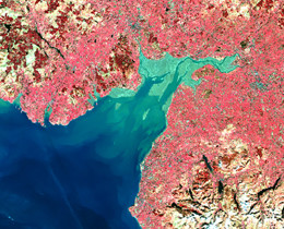 JNCC wins Geography in Government award