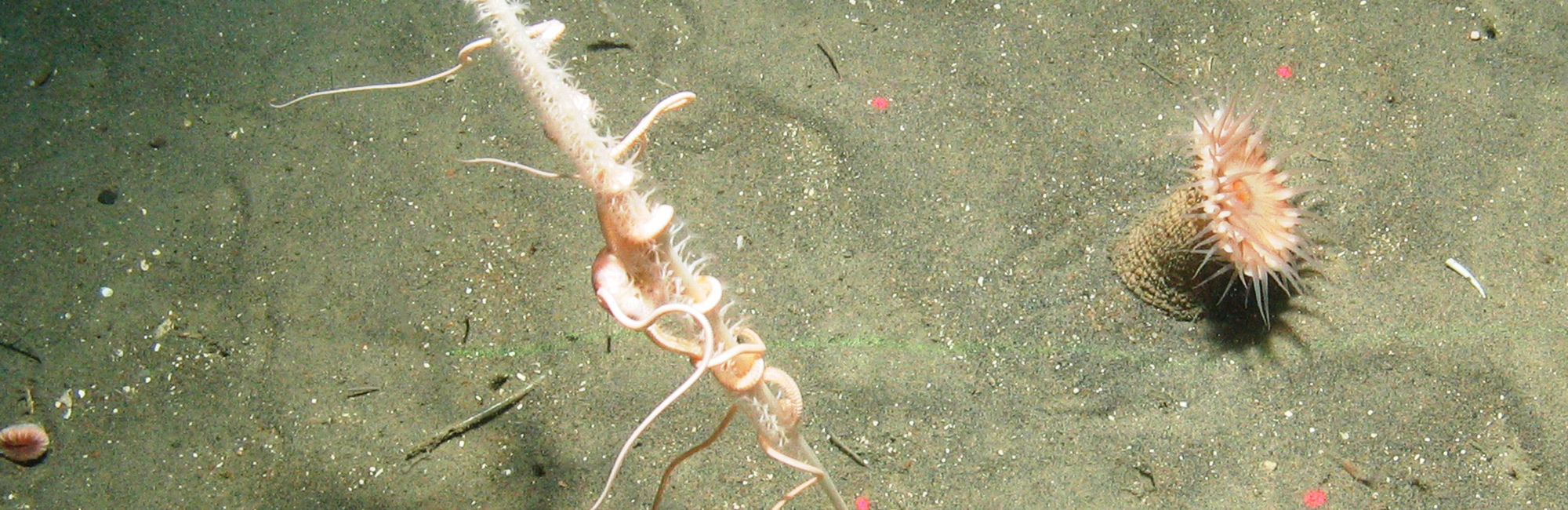  Ocean and Climate Change video launched