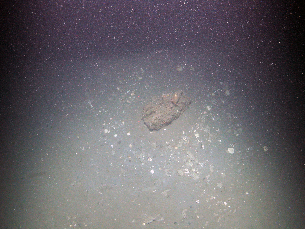 A block of methane-derived authigenic carbonate (MDAC) on mud sediment at Braemar Pockmarks SAC © JNCC/Cefas