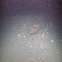 A block of methane-derived authigenic carbonate (MDAC) on mud sediment at Braemar Pockmarks SAC © JNCC/Cefas