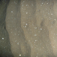 1. Close-up of the seabed at Firth of Forth Banks Complex Nature Conservation MPA showing rippled sand with shell fragments. Image provided by JNCC/Marine Scotland Science, 2011.