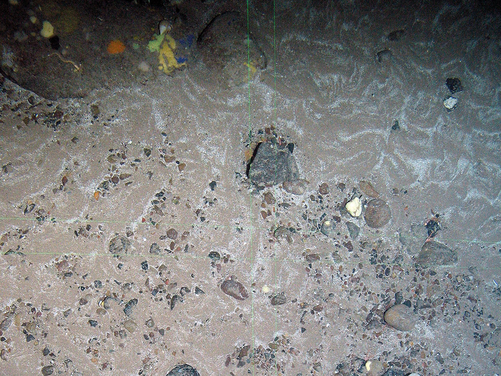 3. Close-up of the seabed at North-east Faroe-Shetland Channel MPA showing colourful encrusting sponges on Subtidal sand and gravel. Image provided by JNCC.
