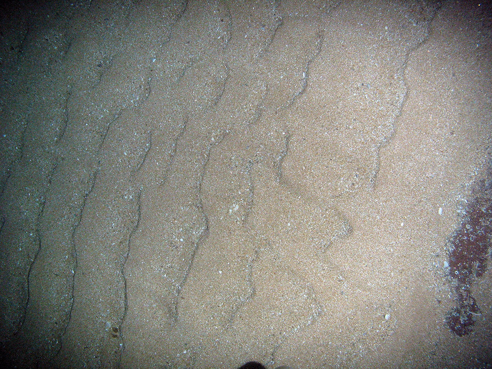 Rippled sand and scoured rock