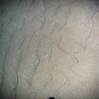 Rippled sand and scoured rock