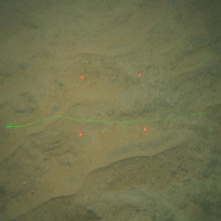 Close up of fine rippled sand with minimal shell debris at Greater Haig Fras MCZ with a burrowing anemone (Mesacmaea mitchelli) (©JNCC/Cefas)