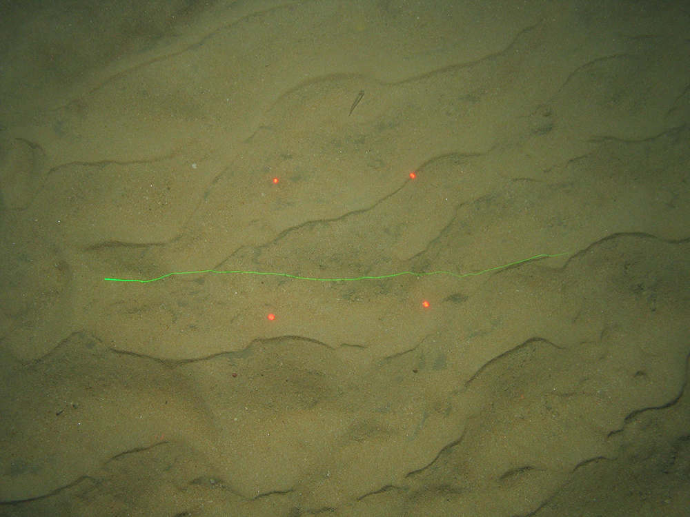 Close up of fine rippled sand with minimal shell debris and evidence of burrowing worms at Greater Haig Fras MCZ (©JNCC/Cefas) 