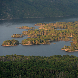 Photo showing Loch Maree Landscape Islands National Nature Reserve (© Scottish Natural Heritage)
