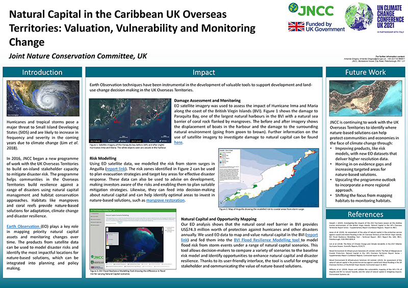 Screenshot of the poster: Natural Capital in the Caribbean UK Overseas Territories. A copy of this poster is available to download