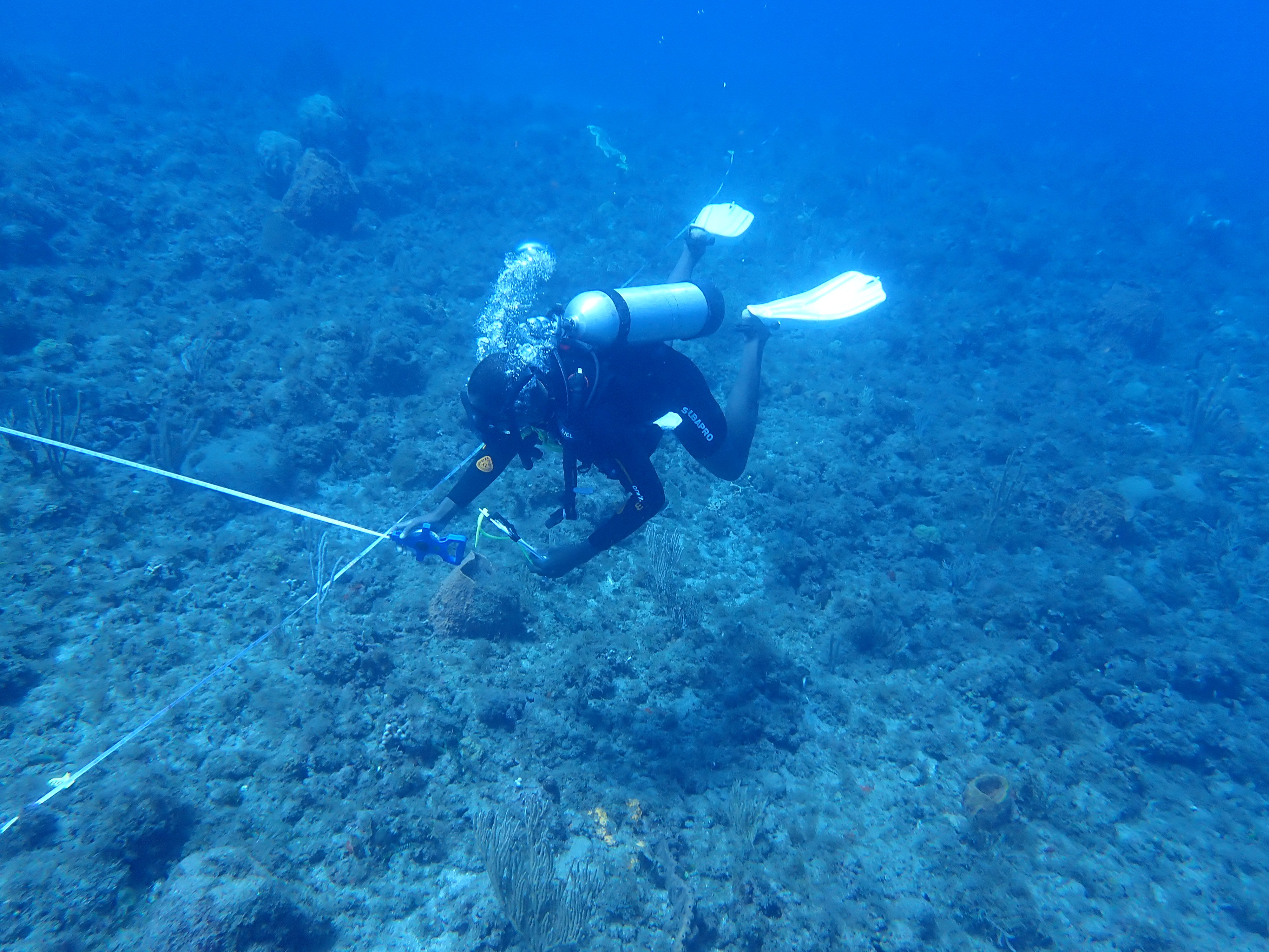 Scuba diver monitoring a coral reef, holding a tape measure and clipboard (Copyright: Abbie Dosell, JNCC)