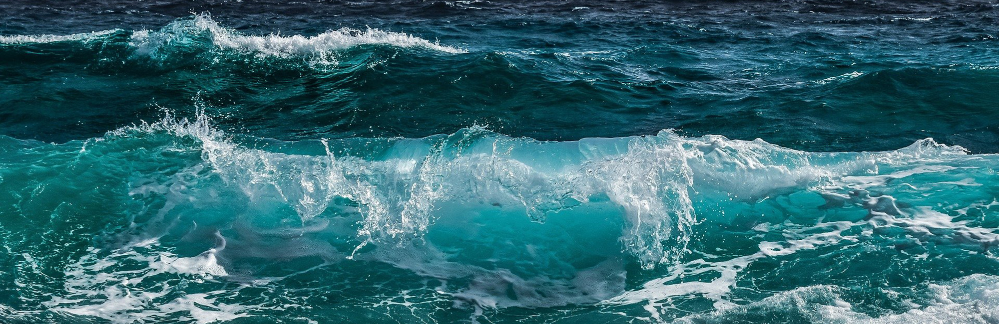 JNCC staff recognised on ENDS Report Power List 2025