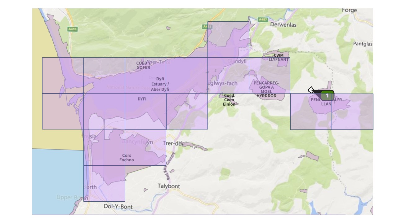 A screenshot from UK AERIUS showing a protected site covered with a square grid.