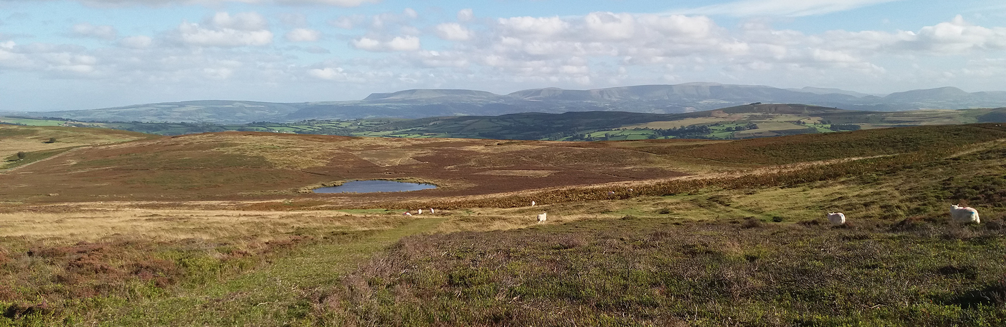 New report explores land use opportunities for fire risk reduction at Mynydd Du