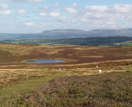 New report explores land use opportunities for fire risk reduction at Mynydd Du