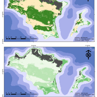 Two maps showing the relative habitat provision potential of shallow marine-coastal marine habitats of the Turks and Caicos Islands for juvenile grouper fish in the top map and adult grouper fish in the bottom map, including high, moderate, low, negligible, potential and potential not assessed.