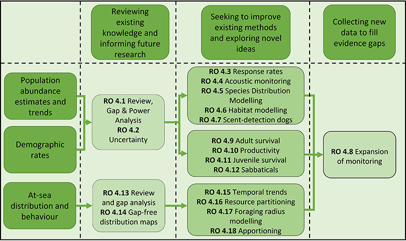 Flow chart illustrating how the Research Opportunities under each topic area, population abundance and trends, demographics rates and at-sea distribution and behaviour, fall into three areas of work and work synergistically and/or in sequence to improve understanding.