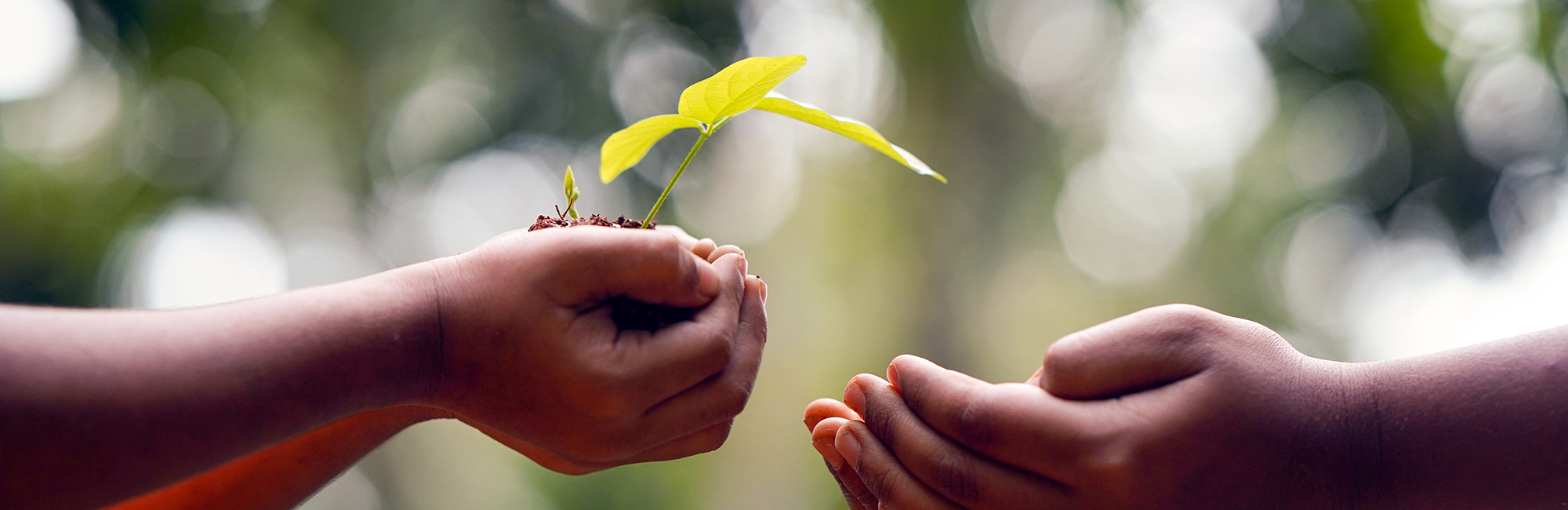 UK Statutory Nature Conservation Bodies call for action