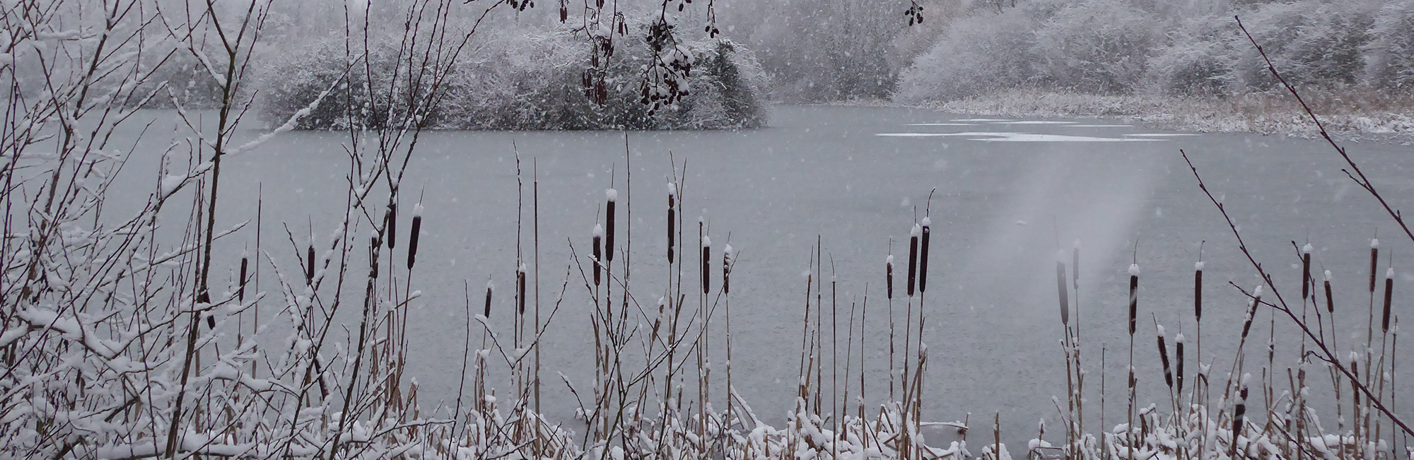 Severe weather update: voluntary restraint in Scotland lifted