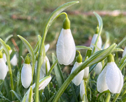 New Joint Committee Board Members appointed