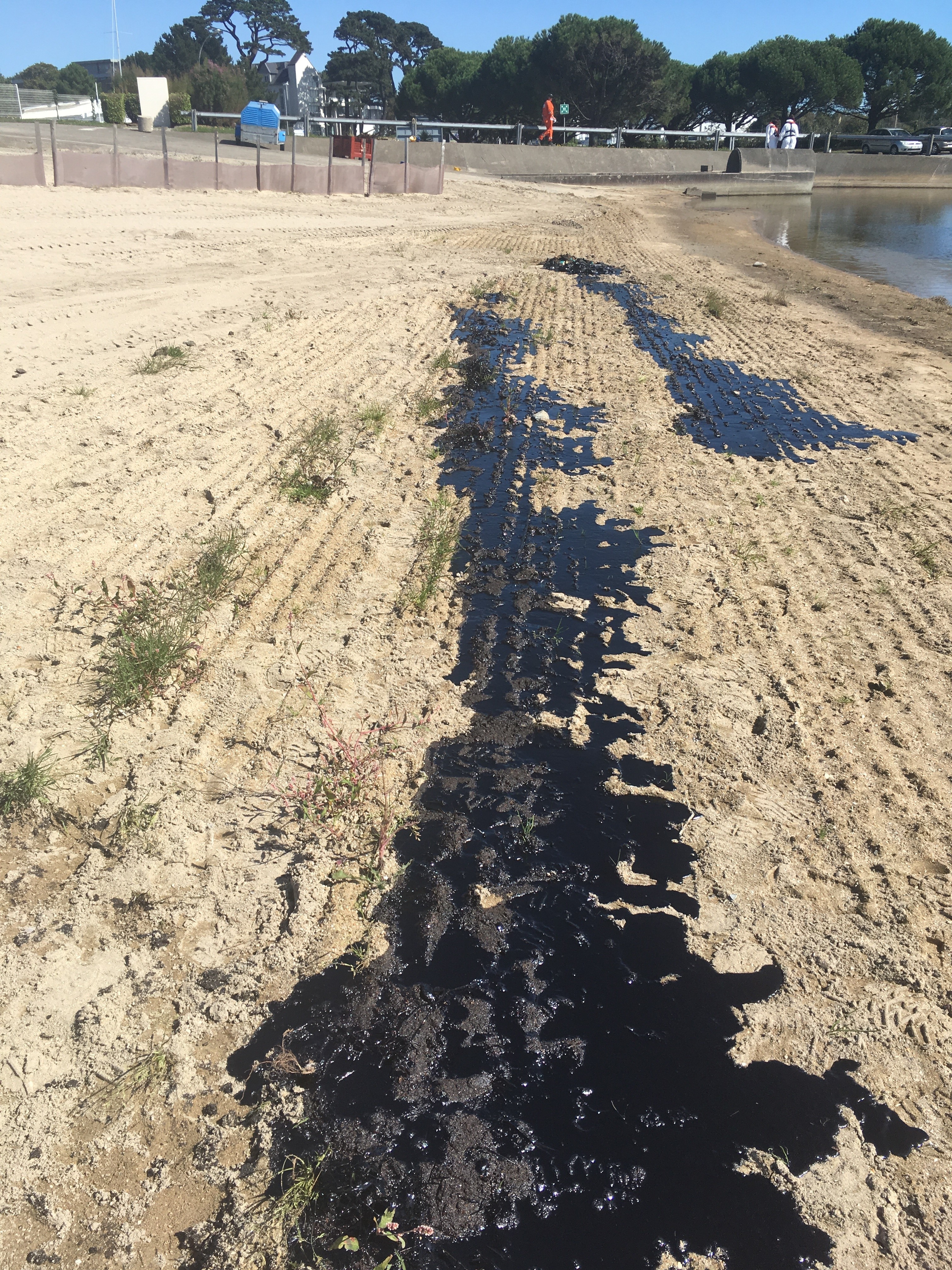 Two lines of oil on a beach from an oil spill
