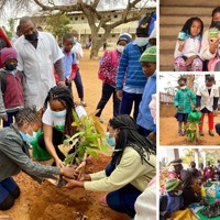 Collage of four photos showing children planting and watering a small plant