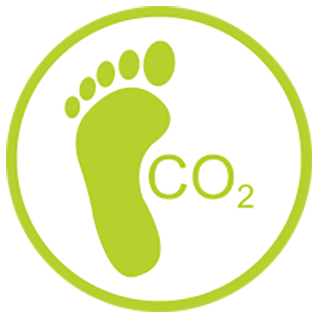Icon for the 'Align action for nature and climate change' strategic priority of a light green footprint with CO₂ text beside it.