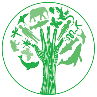 Icon for the value of inclusion