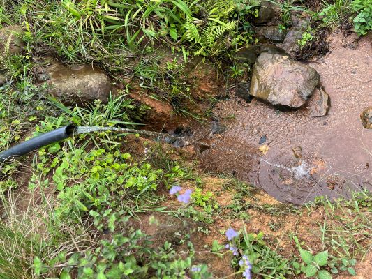 Photograph of exposed plastic pipe with water flowing surrounded by vegetation and bare soil (© Isabella Gosetto, JNCC)