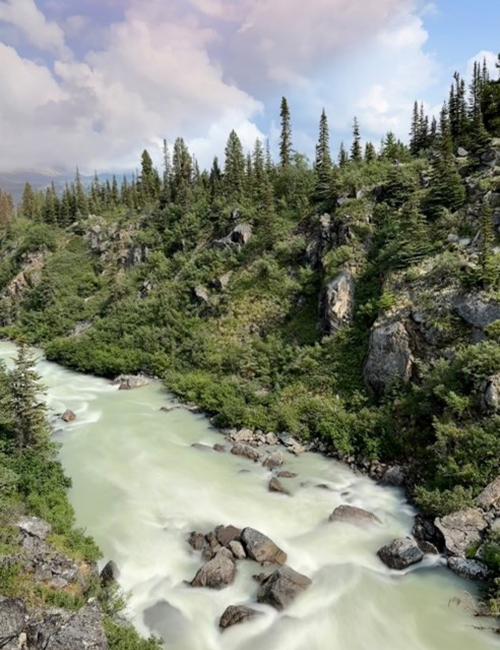 Photograph of a landscape showing a fast flowing river in a mountainous area with trees and vegetation on the rocky banks of the river. This image is decorative and is not referred to on the webpage.