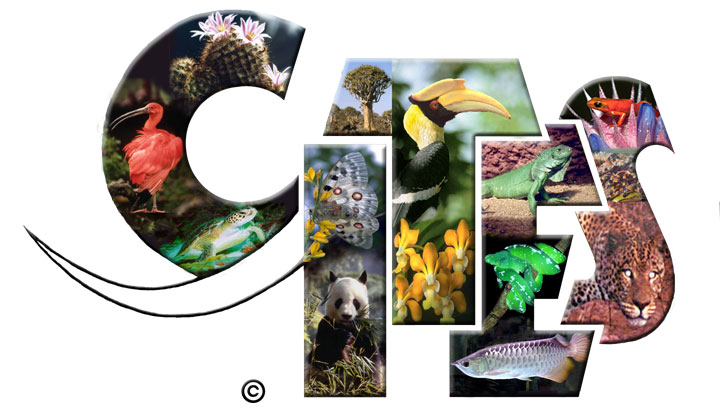 CITES-logo.jpg