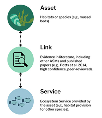 An infographic explaining the uASM process, from asset, through to link, through to service.