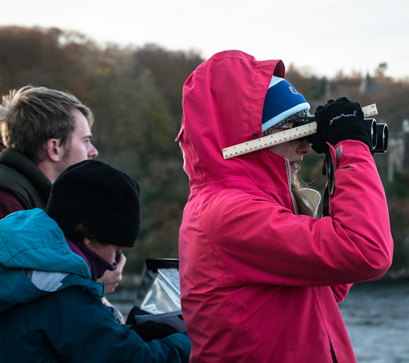 Photograph of a group of three volunteers monitoring on a boat. One of them has a pair of binoculars and is looking into the distance.