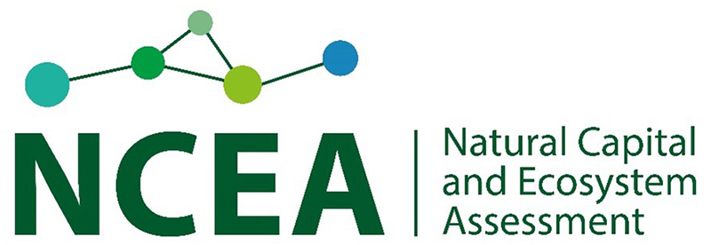 Logo for the Natural Capital and Ecosystem Assessment (N C E A) programme