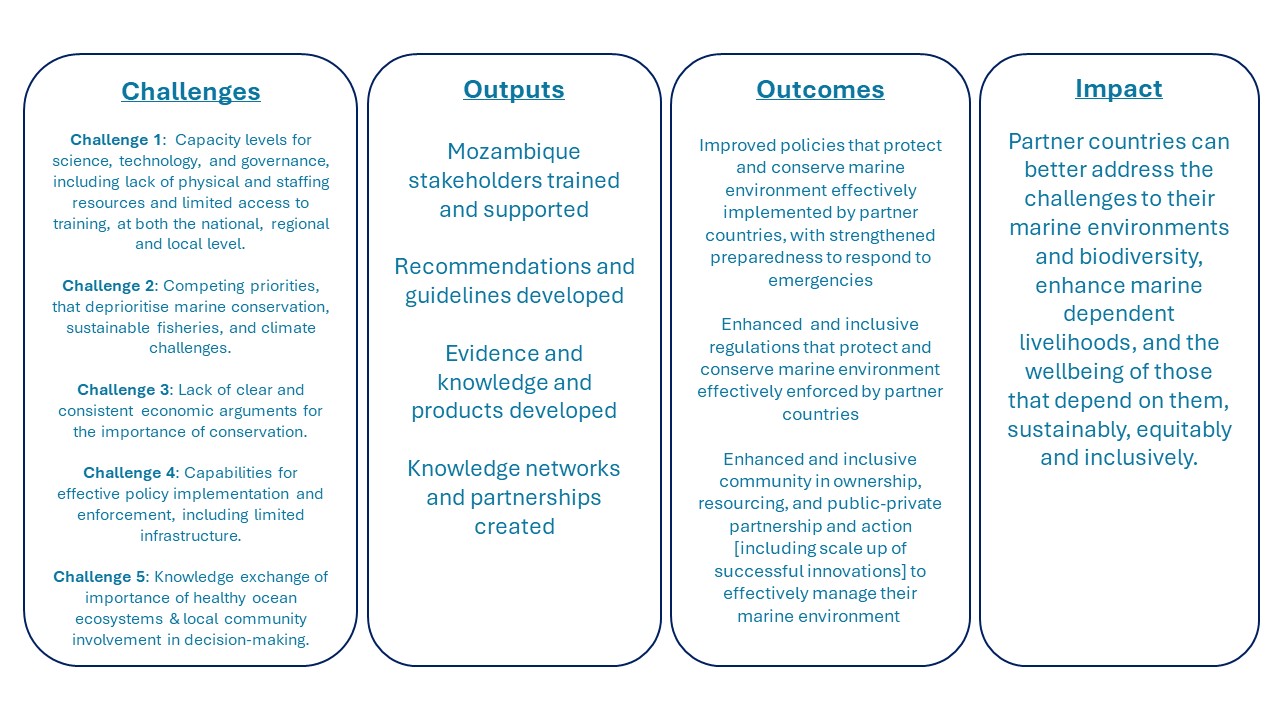 Diagram of challenges, outputs, outcomes and impact