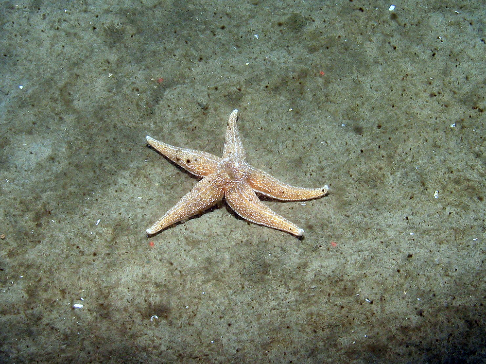 Cend7_stn 54_ (21)_web.jpg