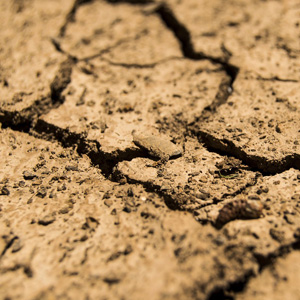 Drought © Pixabay