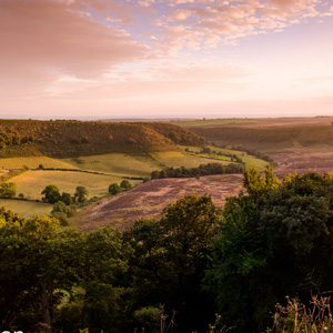 photo by Nick Burton