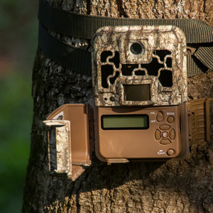 Trail Camera © Pixabay