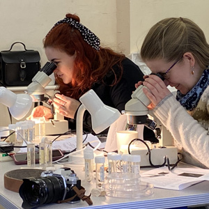 Improving verification with new technologies © Ness Amaral-Rogers