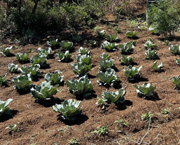 South Africa Visit: JNCC’s Environmental Pollution Programme in Action