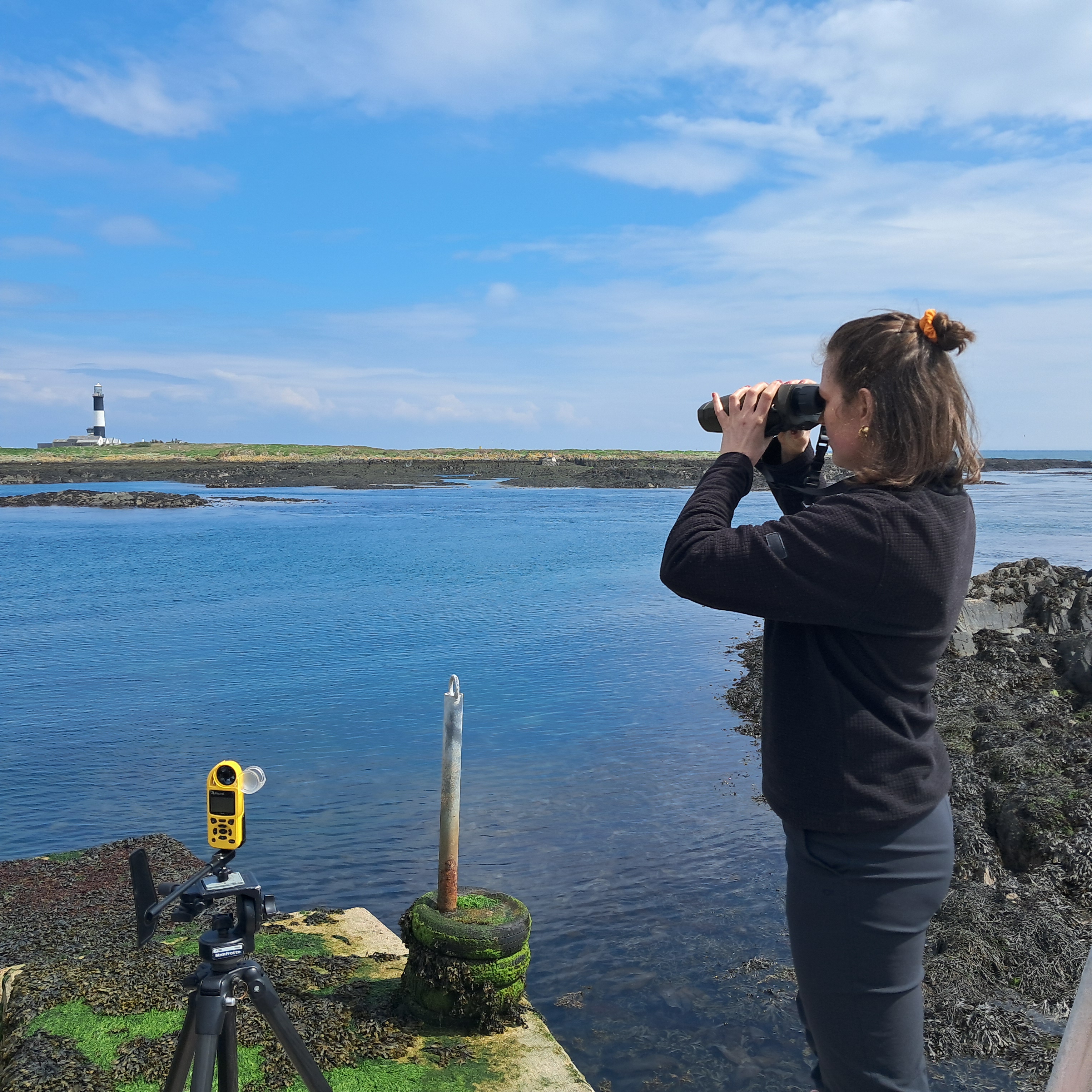 A fieldworker using a laser rangefinder from a jetty to measure the flight height of a bird
